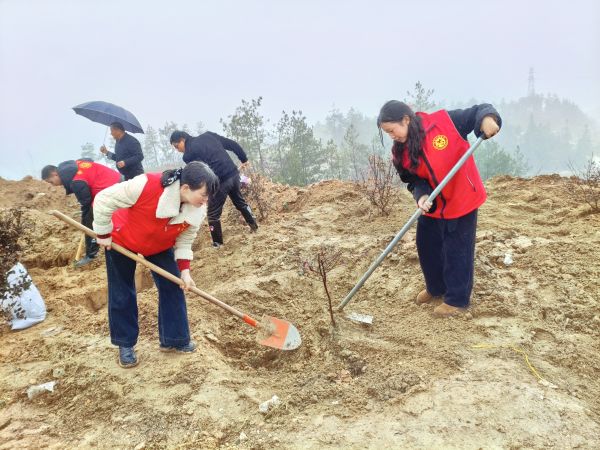 03121741777247824294.jpg 微信图片_20250312103359.jpg