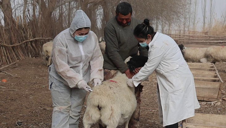 03131741864536841746.png 屏幕截图 2025-03-13 191400.png