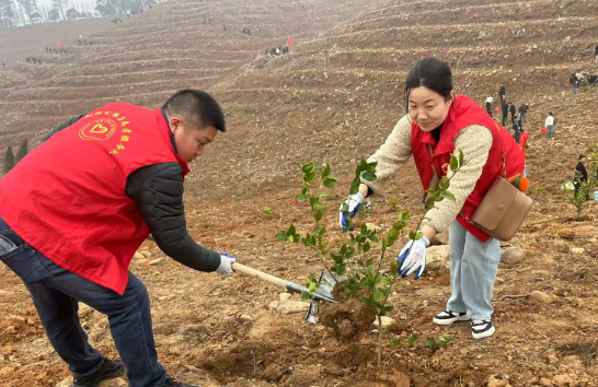 屏幕截图 2025-03-14 102241.png