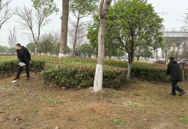 屏幕截图 2025-03-14 170208.png