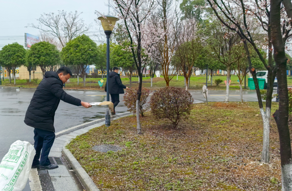 屏幕截图 2025-03-14 170212.png