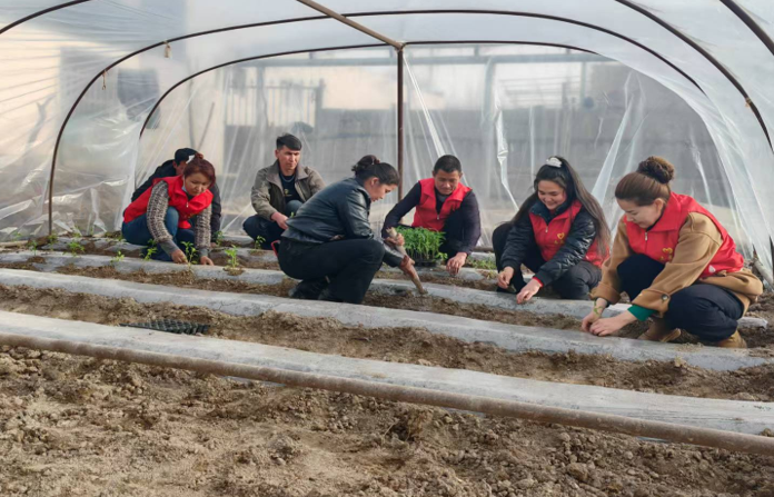 屏幕截图 2025-03-14 173450.png