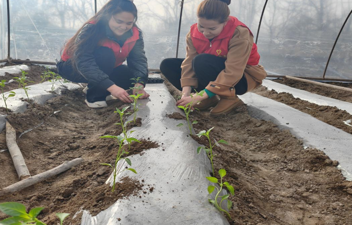 屏幕截图 2025-03-14 173459.png