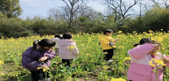 屏幕截图 2025-03-18 211718.png