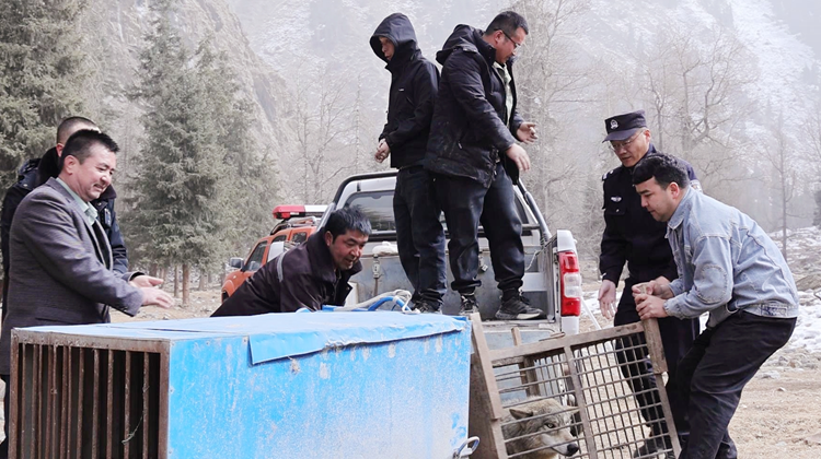 屏幕截图 2025-03-18 212025.png