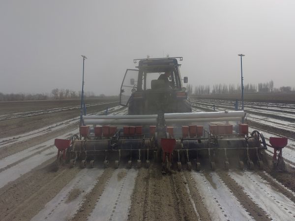 03181742304941272552.jpg IMG_20250318_132529.jpg