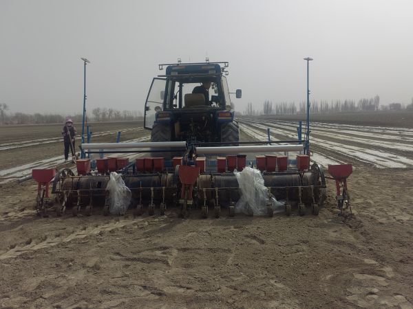 03181742304947479539.jpg IMG_20250318_131713.jpg