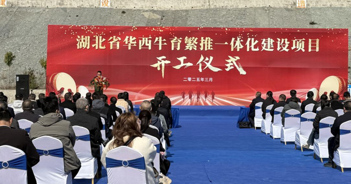 03201742457345505324.png 屏幕截图 2025-03-20 155536.png