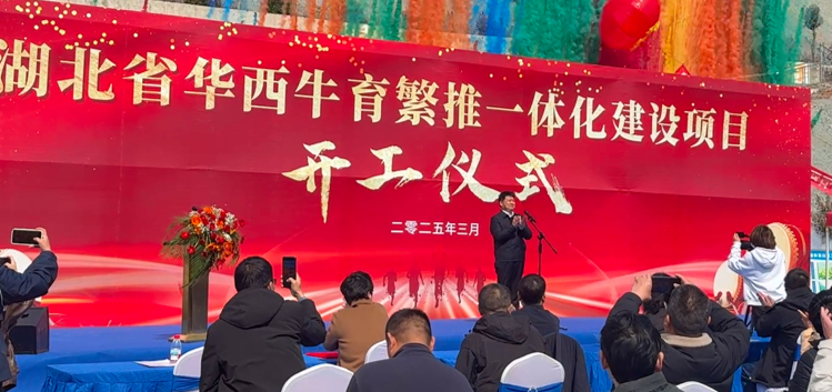 03201742457350380231.png 屏幕截图 2025-03-20 155540.png