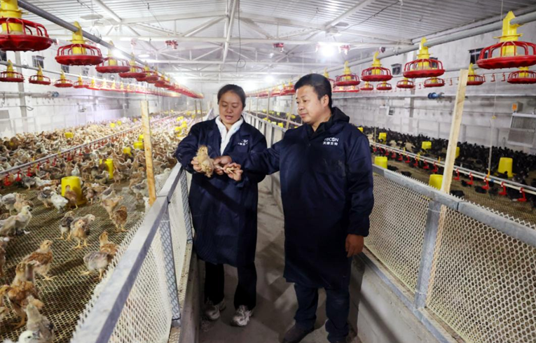 屏幕截图 2025-03-20 185359.png