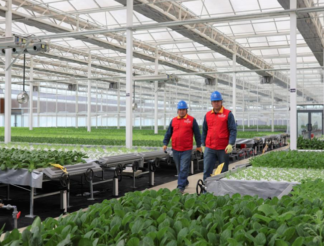 屏幕截图 2025-03-21 192027.png