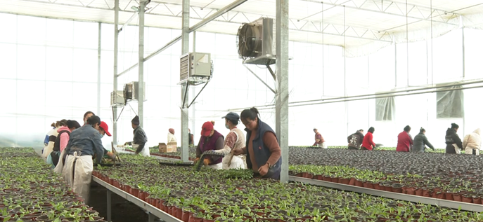 屏幕截图 2025-03-21 192159.png