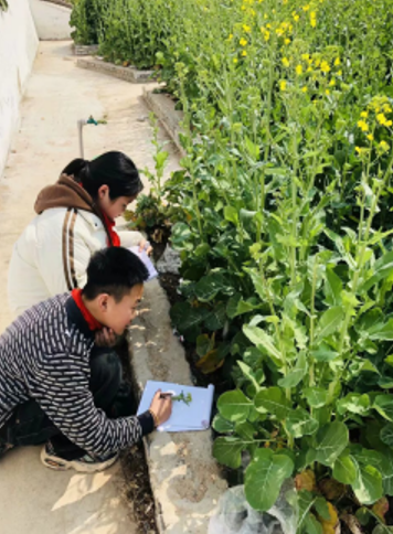 屏幕截图 2025-03-24 170711.png