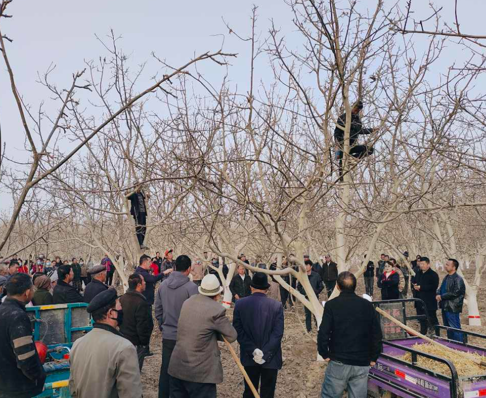 屏幕截图 2025-03-24 200343.png