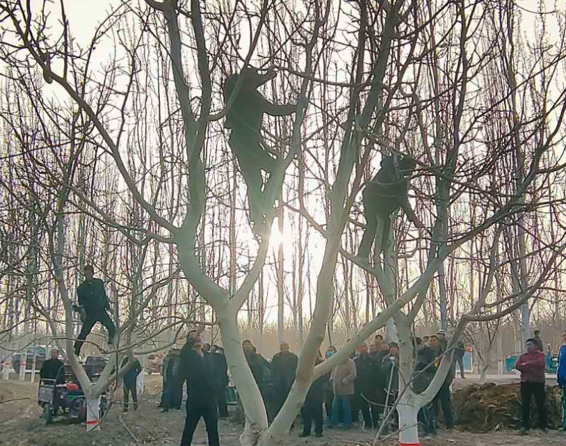 屏幕截图 2025-03-24 200345.png