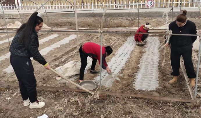 屏幕截图 2025-03-24 202258.png