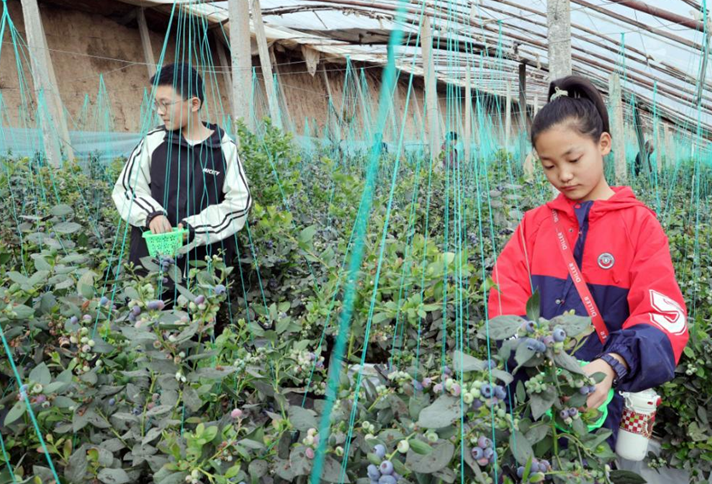 屏幕截图 2025-03-25 195141.png