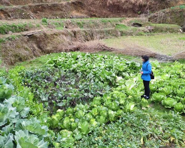新邵县迎光乡：禁种铲毒“零容忍” 织密禁毒“防护网 (1).jpg