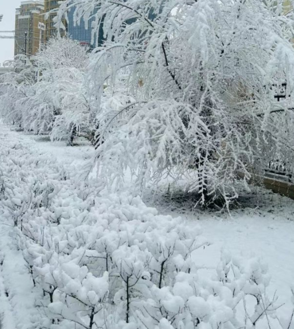 屏幕截图 2025-03-26 185253.png