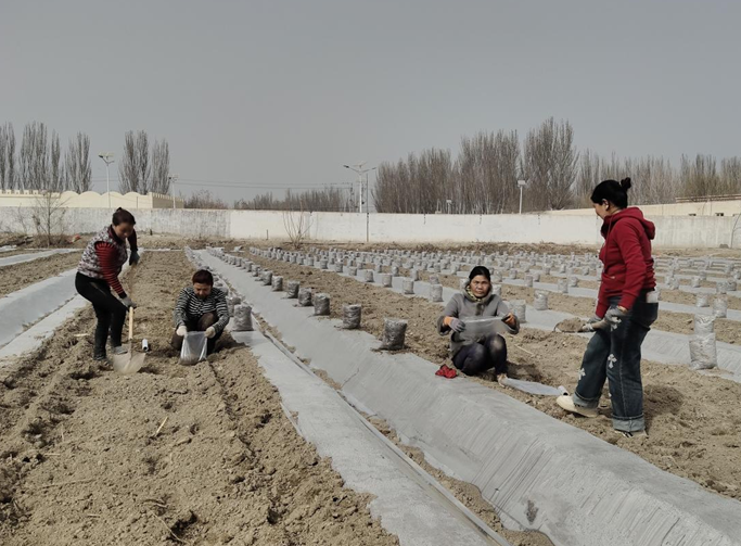 屏幕截图 2025-03-27 210454.png