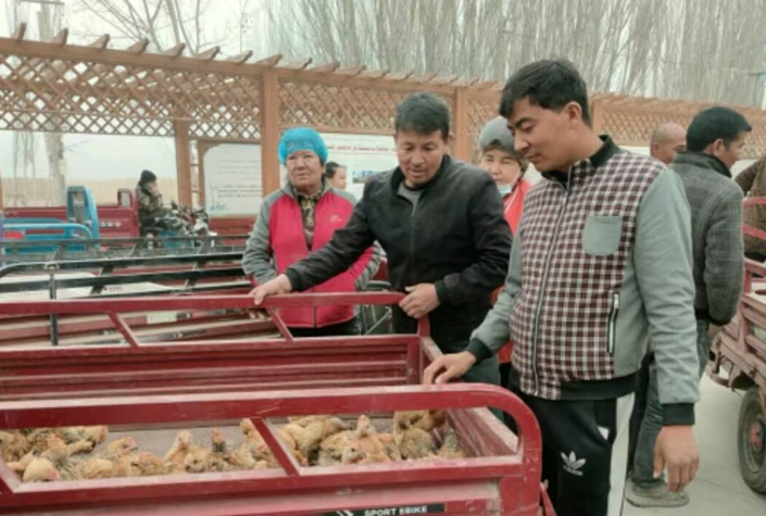 屏幕截图 2025-04-02 192814.png