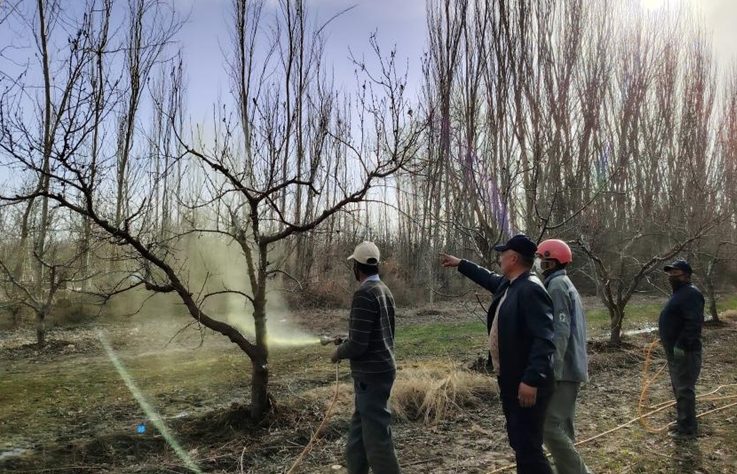 屏幕截图 2025-04-02 193531.png