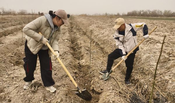 04031743689144131410.jpg 图片3.jpg