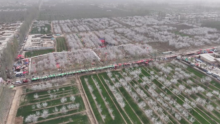 屏幕截图 2025-04-07 231928.png