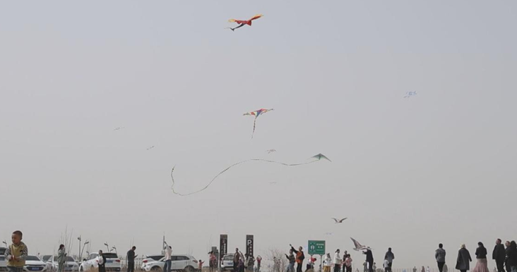 屏幕截图 2025-04-07 232328.png