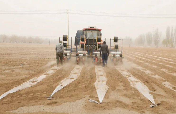 屏幕截图 2025-04-07 232623.png