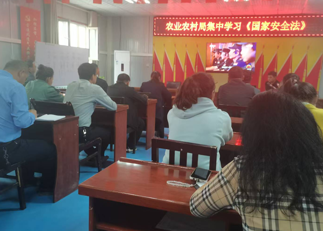 屏幕截图 2025-04-08 174522.png