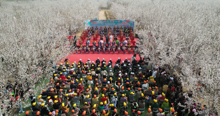 屏幕截图 2025-04-08 192035.png