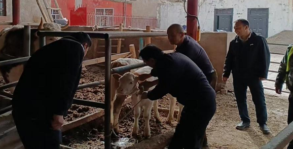 屏幕截图 2025-04-08 192734.png