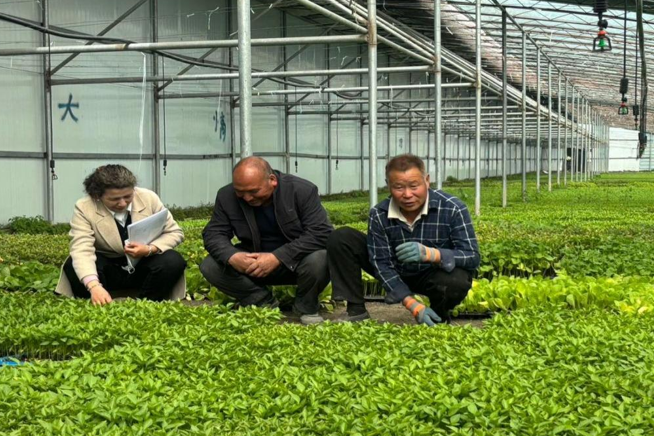 屏幕截图 2025-04-08 204620.png