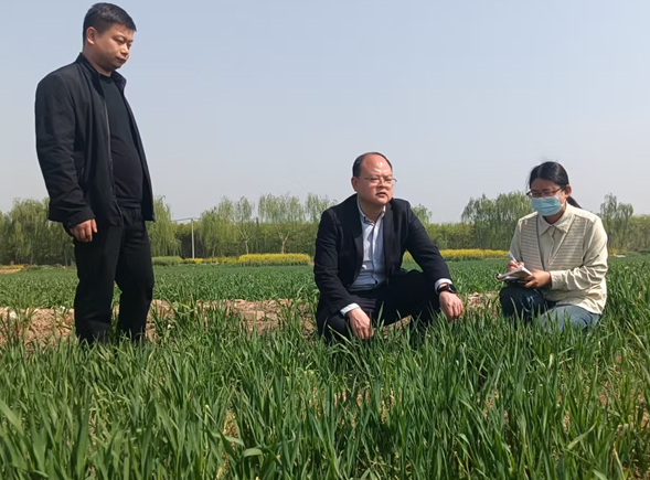 屏幕截图 2025-04-08 213113.png