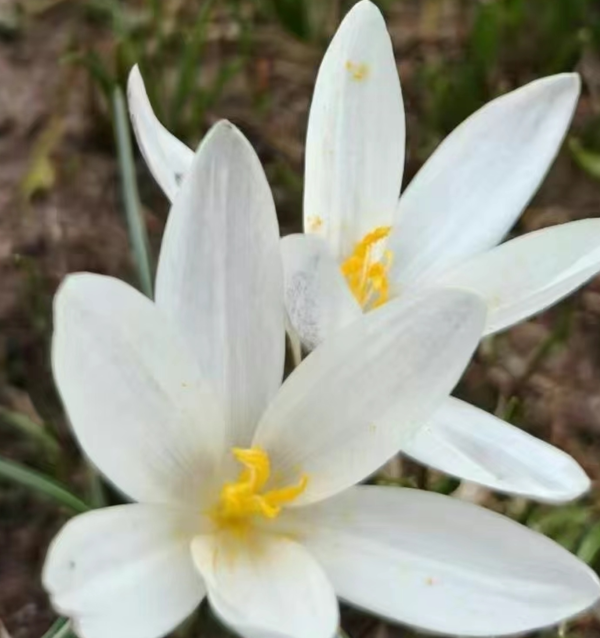 屏幕截图 2025-04-09 193616.png