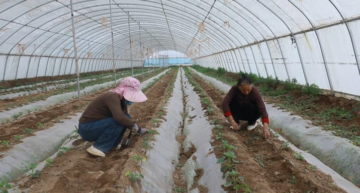 屏幕截图 2025-04-09 204320.png