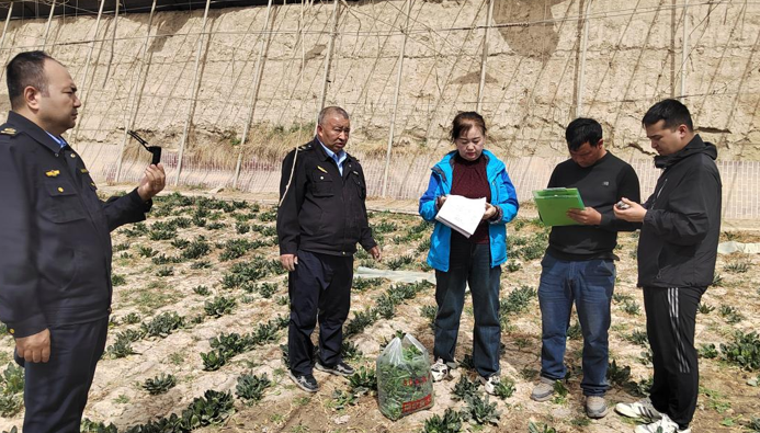 屏幕截图 2025-04-10 115204.png