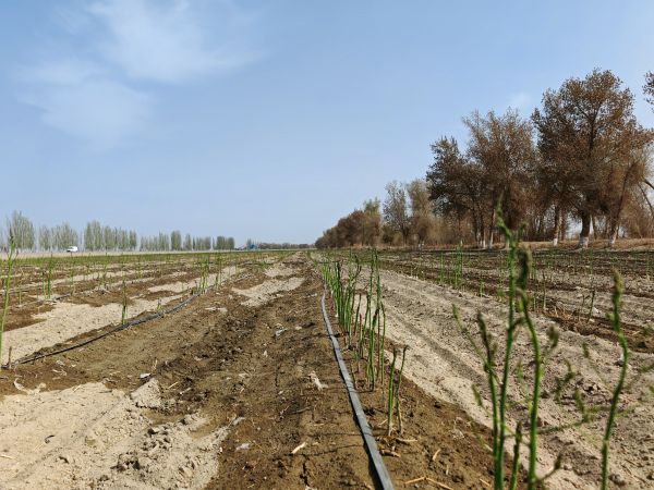 04101744274694405407.jpg 微信图片_20250410144414.jpg