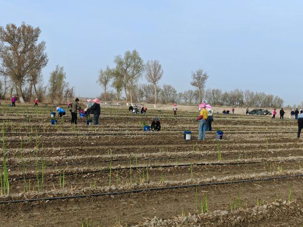 04101744274702210067.jpg 微信图片_20250410144344.jpg