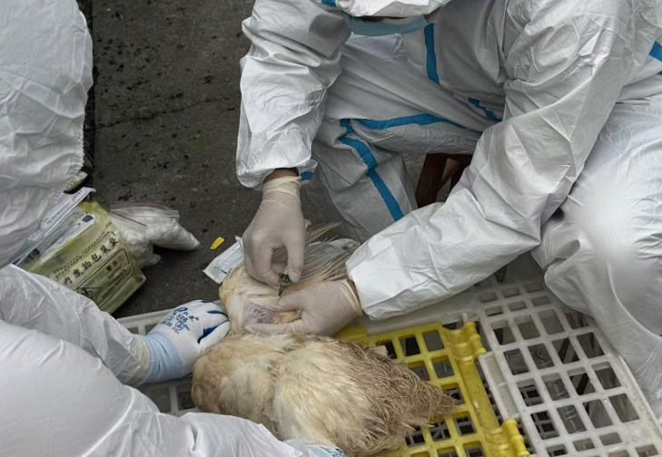 屏幕截图 2025-04-11 175458.png