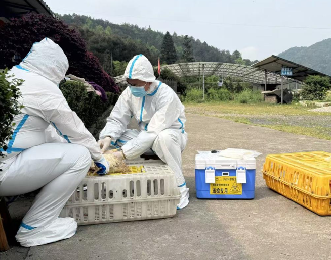 屏幕截图 2025-04-11 175502.png