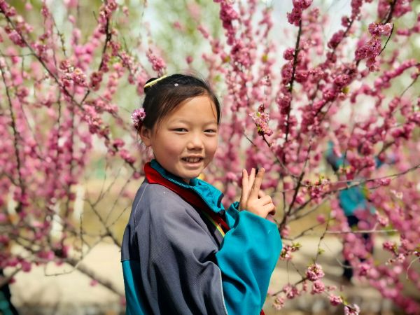 04111744368276975505.jpg 春游照片.jpg