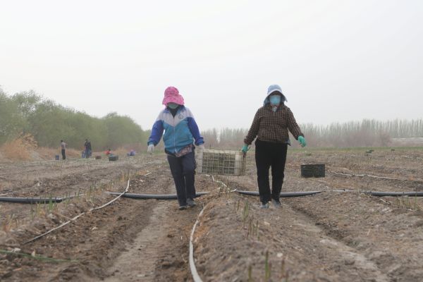 04111744369770122443.jpg 微信图片_20250411120235.jpg