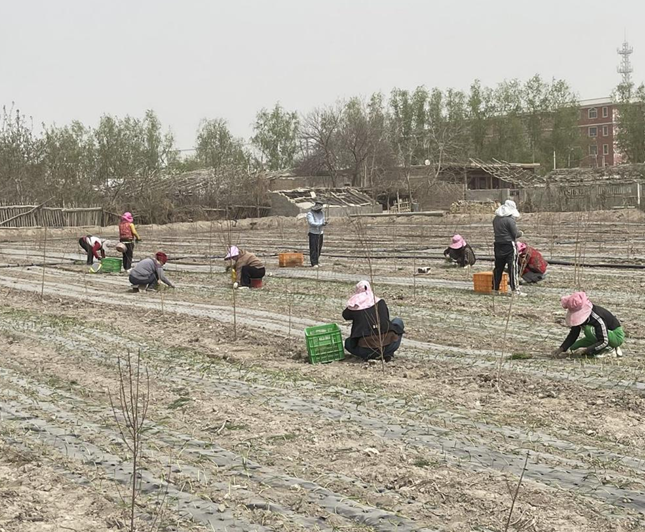 04141744634321294403.png 屏幕截图 2025-04-14 203616.png