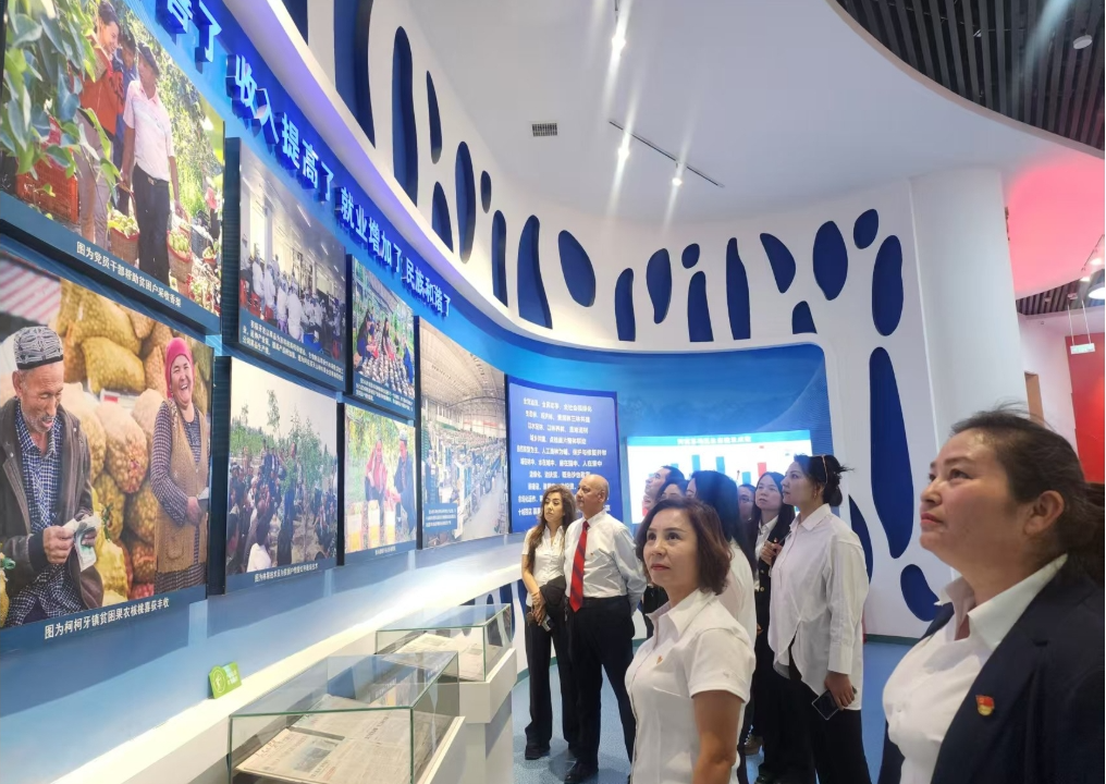 04151744712361825421.png screenshot-1744711794959.png