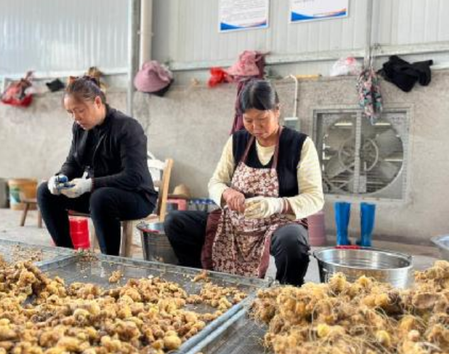 屏幕截图 2025-04-16 181204.png