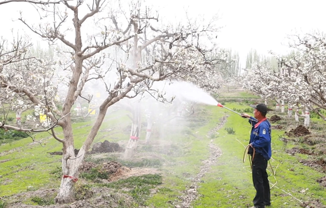 04161744802418521237.png 屏幕截图 2025-04-16 191950.png