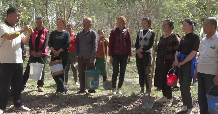 04161744802631524010.png 屏幕截图 2025-04-16 192320.png