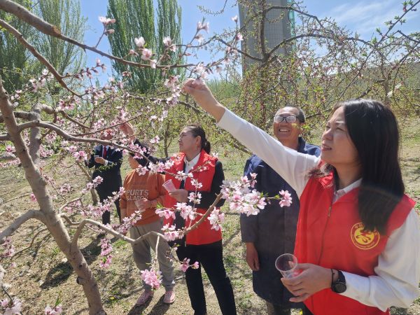 04161744805142305405.jpg 0faa72704fae54e32d549057b9320e1.jpg